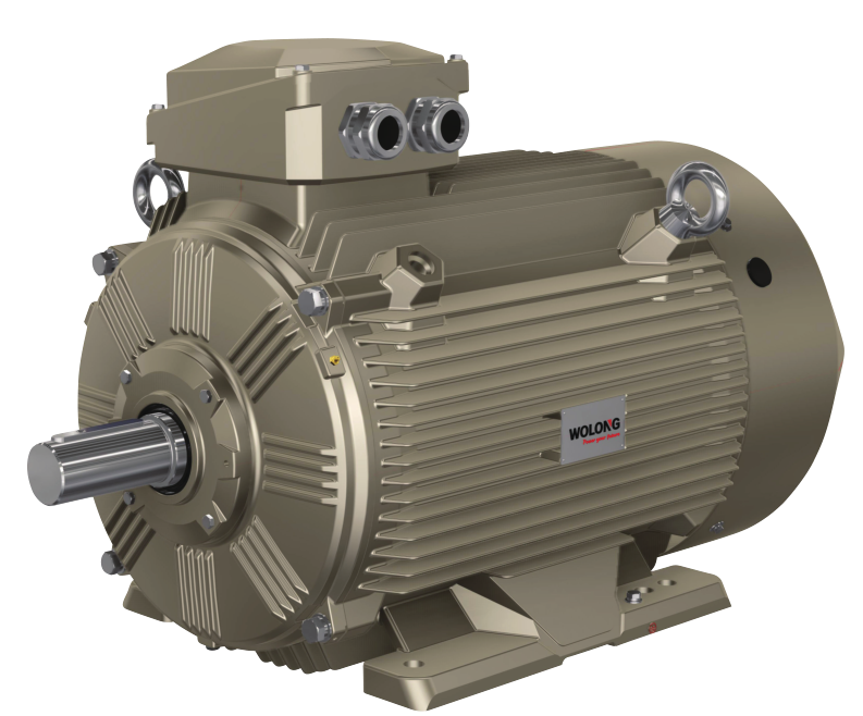 1650352453294060p5A0.png WEPM 变频调速永磁电机.png